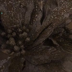 Meet your Posher, Dina